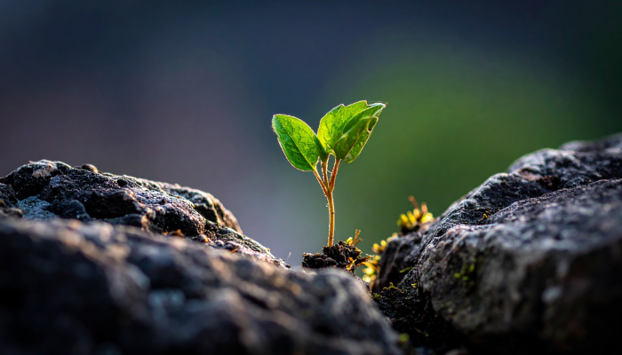 5 Non-Negotiable Things SROs Can do to Take Care of Themselves